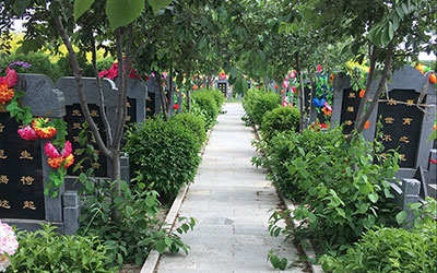 祖坟有这些现象要注意了