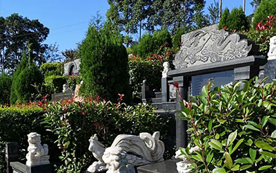 已葬好的墓地应该怎样搬迁