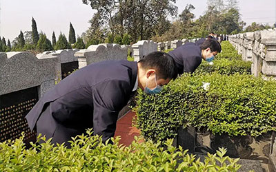 清明扫墓有四类人不宜祭扫