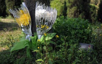 树葬来源,昆明有树葬吗