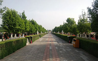 普通人如何判断墓地风水的好坏