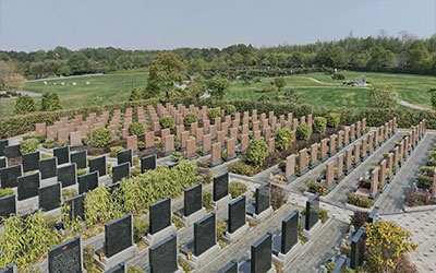 祖坟风水对家人有哪些影响