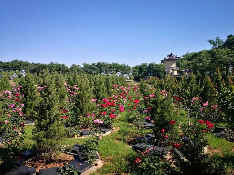 昆明风水好的墓地如何判断 昆明风水好的墓地如何判断