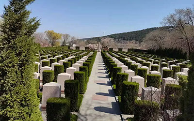 什么地形才是好墓地风水