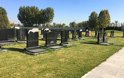 为什么购买家族墓地