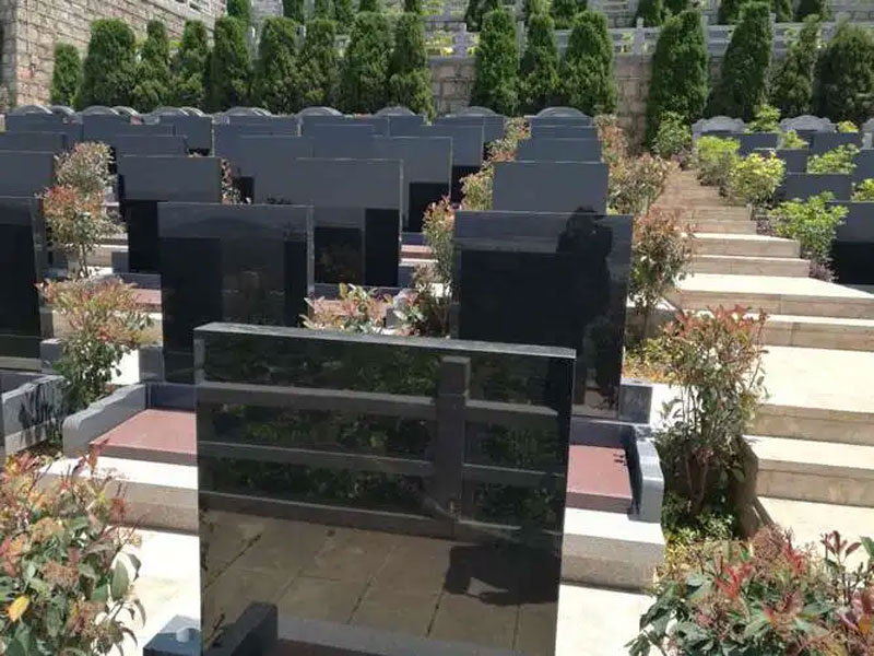 墓地前面有水沟好不好