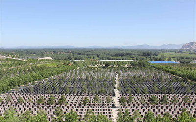 墓地风水好的明显特征是什么?