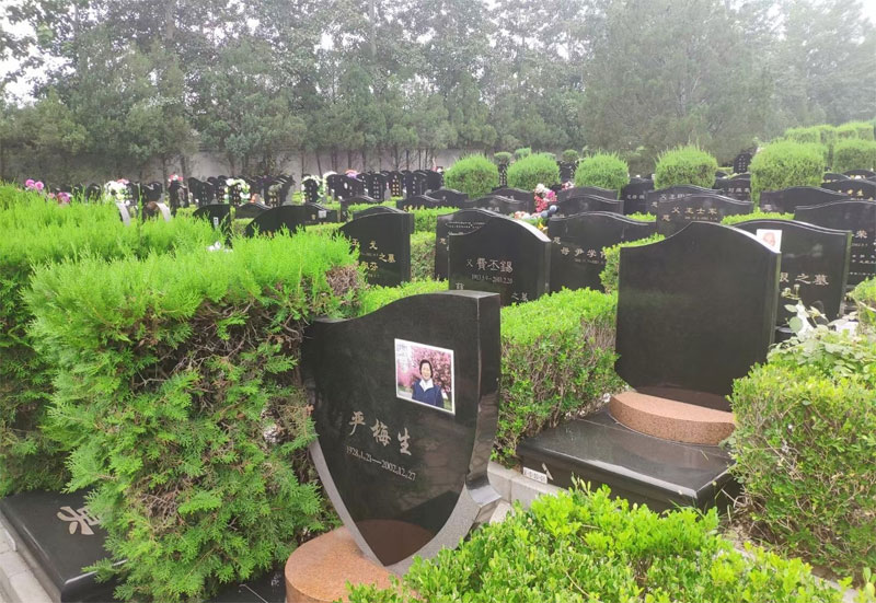 祖上有德祖坟风水好的征兆有哪些 祖上有德祖坟风水好的征兆有哪些