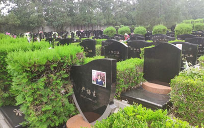 祖上有德祖坟风水好的征兆有哪些