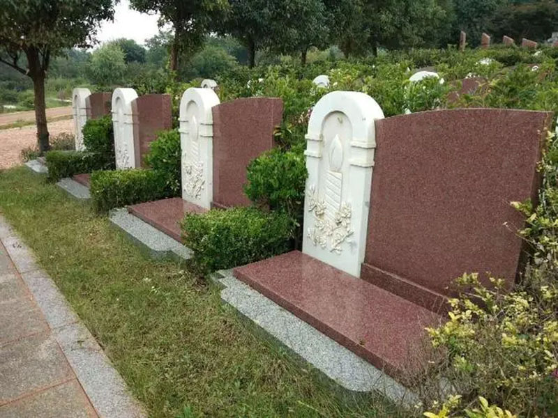 有人说墓地的风水好,后代会有福,谁能解释一下 有人说墓地的风水好,后代会有福,谁能解释一下