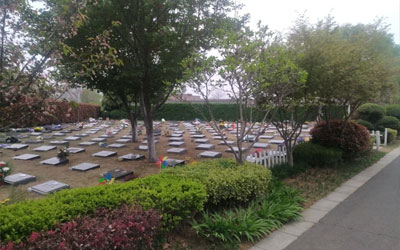 祖坟墓地风水好的4大征兆，只要有一个，寓意儿孙兴旺、富过三代