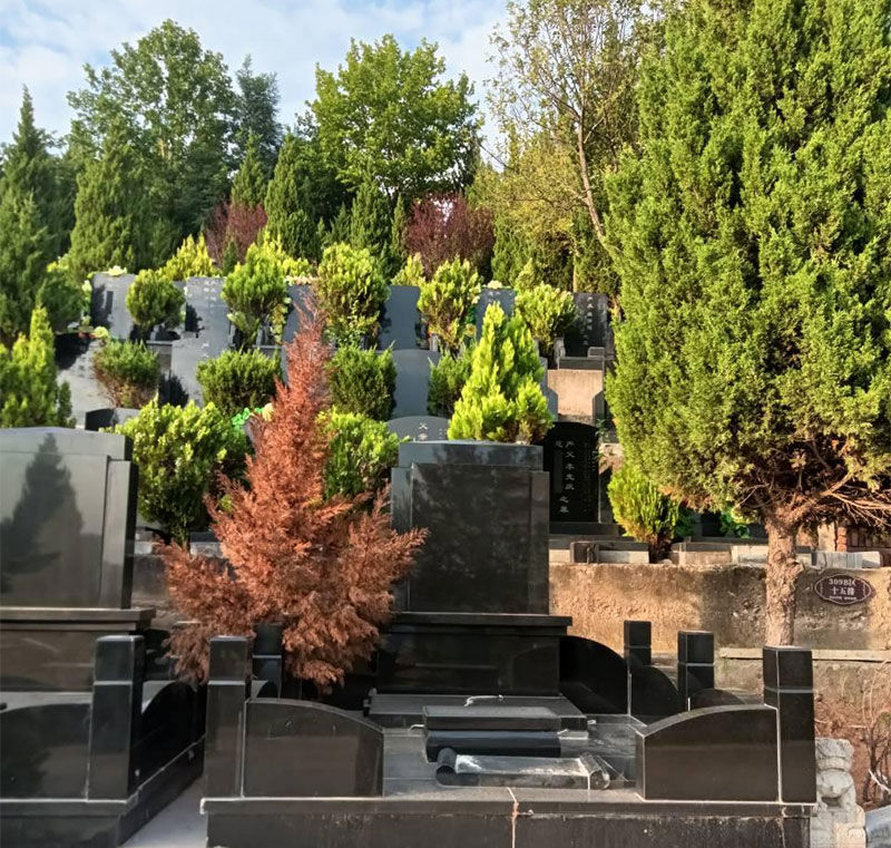 感觉生活太累的时候,你可以去公墓转转 感觉生活太累的时候,你可以去公墓转转