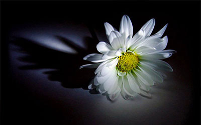 撰写悼词有哪些讲究