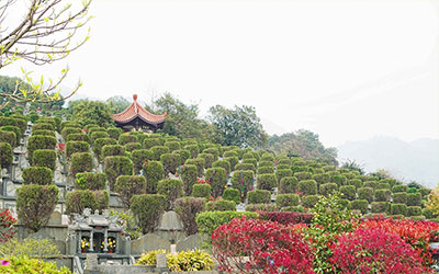 为什么要买墓地?骨灰不易在殡仪馆寄存太久