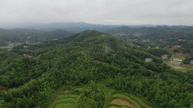 家族祖坟风水 家族祖坟风水