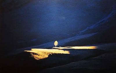 明阳山的日与夜 揭秘真实的殡葬世界