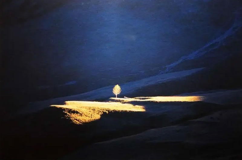 明阳山的日与夜 揭秘真实的殡葬世界 明阳山的日与夜 揭秘真实的殡葬世界