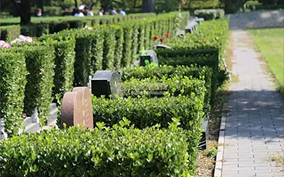 坟墓风水的朝向有何讲究