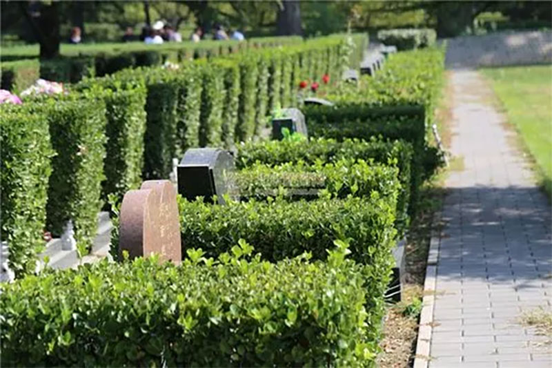 坟墓风水的朝向有何讲究，坟墓的朝向有讲究吗