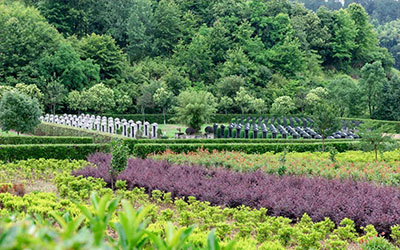 葬到好风水的征兆有哪些？风水下葬时有什么吉兆为好？