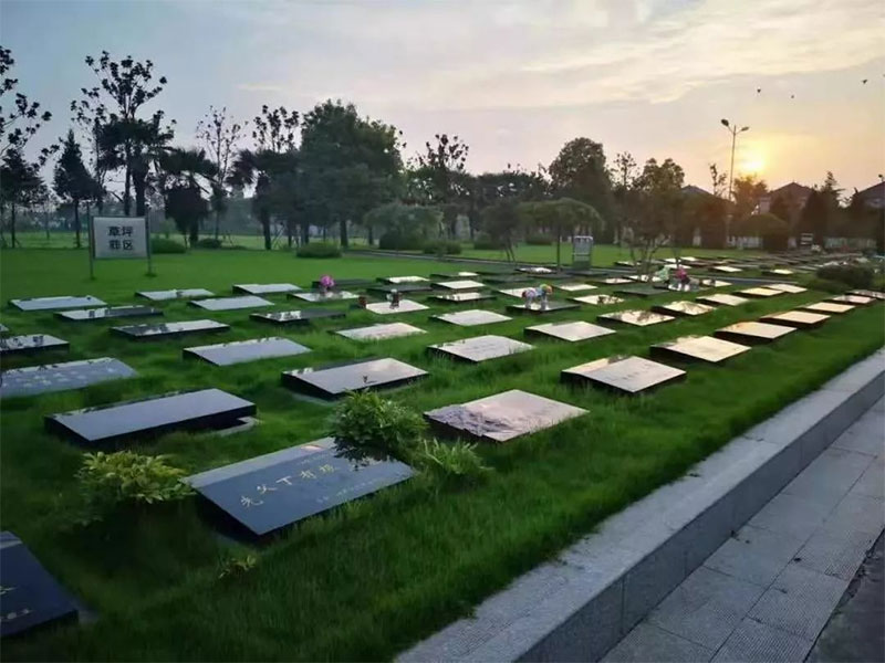公墓对后代的影响