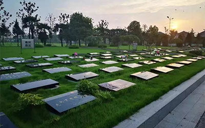 公墓对后代的影响