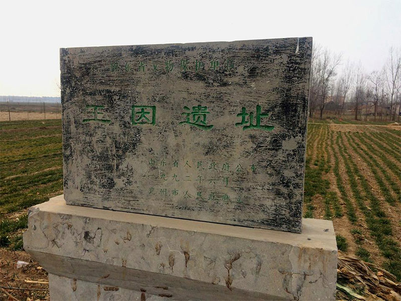 中国最大的史前墓地之一山东济宁王因遗址 中国最大的史前墓地之一山东济宁王因遗址