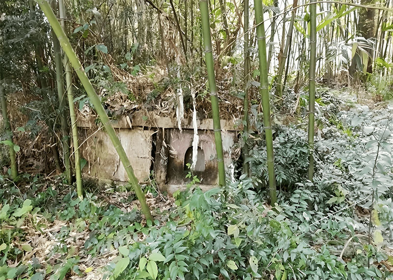 坟头上长竹子能不能砍 坟头风水注意事项 坟头上长竹子能不能砍 坟头风水注意事项