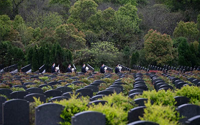 清明最佳扫墓时间