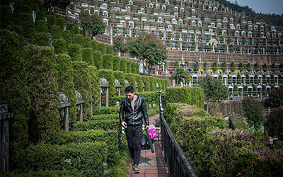 清明扫墓时间有讲究吗 清明扫墓时间选择