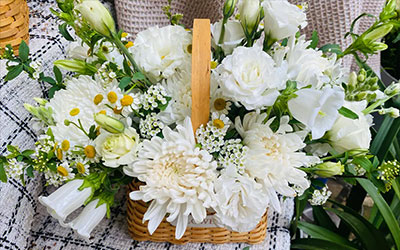 清明上坟扫墓用什么花