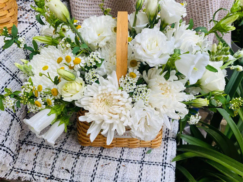 清明上坟扫墓用什么花