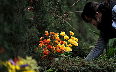 清明节扫墓祭祖有哪些禁忌和注意事项