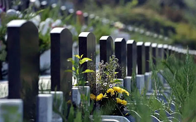 怎样知道祖坟好不好，祖坟风水很重要吗
