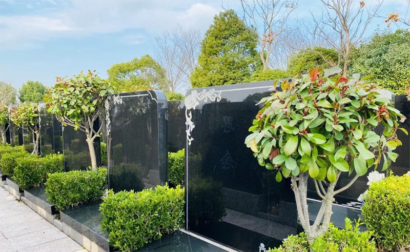 祖坟一般多少年出人才，祖坟风水好的征兆