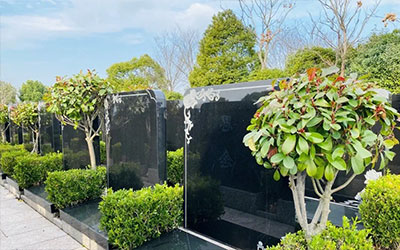 祖坟一般多少年出人才，祖坟风水好的征兆