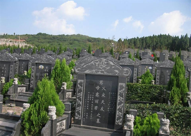 坟头栽什么树最好，阴宅风水注意事项