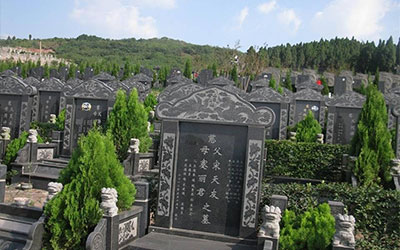 坟头栽什么树最好，阴宅风水注意事项