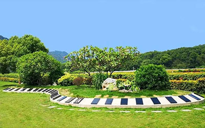 节地生态葬为何响应者寥寥