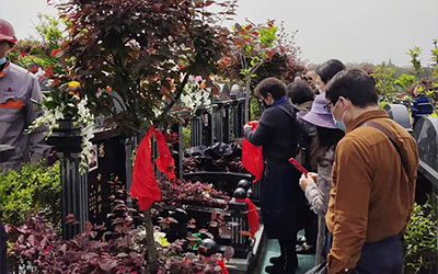 殡葬，点亮社会文明最初的烛光