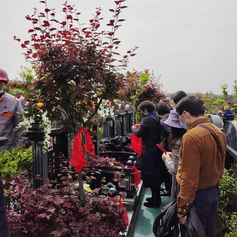 殡葬，点亮社会文明最初的烛光