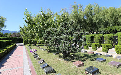 生态葬有哪些好处？昆明都有哪些生态葬？价格怎么样？