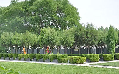 墓型分类有哪些？墓地类别划分