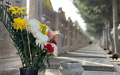 墓园祭祀的顺序是什么？