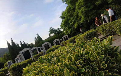 俗语“坟前三不种，坟后两不留”是迷信还是科学？你懂吗？