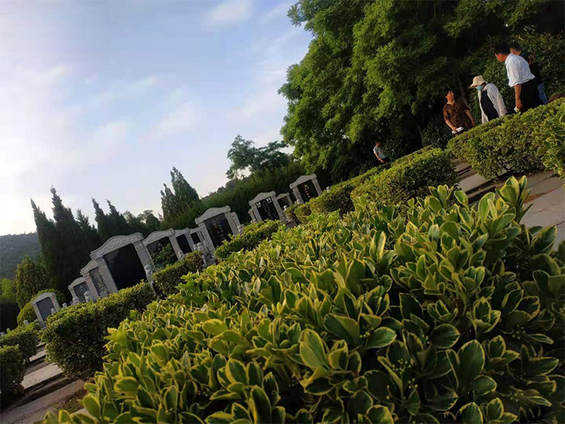 坟前三不种,坟后两不留 坟前三不种,坟后两不留