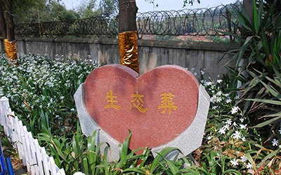 六大节地生态葬类型，您能接受哪一种