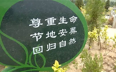 生态葬的主要形式有哪些