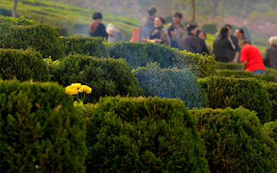 隔辈不上坟是什么意思，上坟注意事项