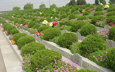 昆明公墓有生态葬吗？昆明生态葬是那种形式？